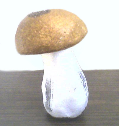 овощи искусственные гриб белый