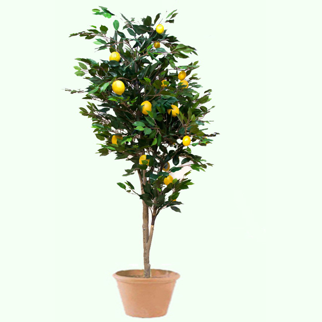 искусственные деревья лимон