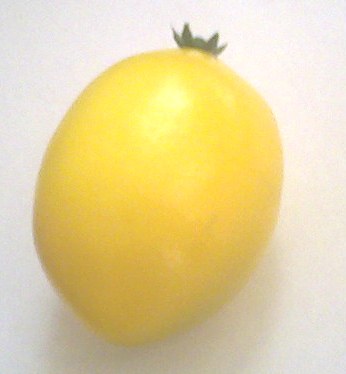 фрукты искусственные лимон